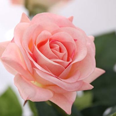 Stacie Turner - Twitter Profile Picture of Stacie Turner (@StacieT79287962) on Twitter