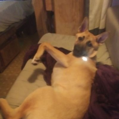 Profile Picture of Steven Tolliver (@StevenTolliver4) on Twitter