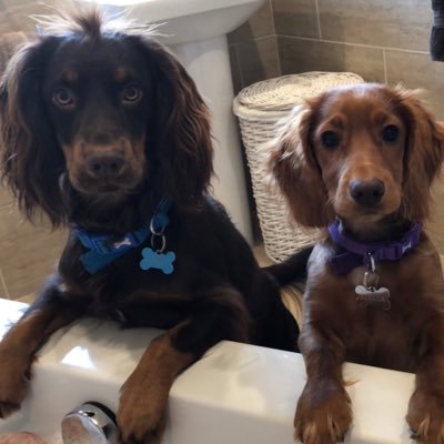 Profile Picture of Michael Dalziel (@Michael_Dalziel) on Twitter