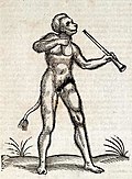 Profile Picture of Satyrus (ape)on Wikipedia