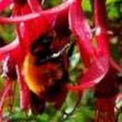 Profile Picture of Mark Anding (@southanding) on Youtube