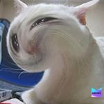 Profile Picture of Maurice Walterscheid (@mauricewalterscheid) on Instagram