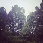 Profile Picture of Laney Smith (@laney.sm) on Instagram