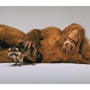 Trevor Saunders - Twitter Profile Picture of Trevor Saunders (@satchthewookie) on Twitter