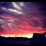 Profile Picture of Misty Hollenbeck (@missmisty124) on Instagram