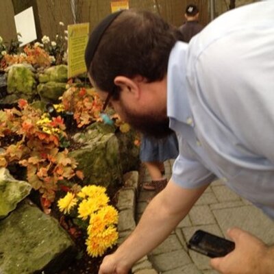 Profile Picture of Phillip Teller (@pdt597) on Twitter