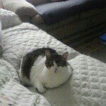 Profile Picture of Nancy Stutzbach (@nancycarolann) on Instagram