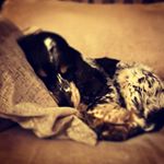 Timothy Benton-fife - Instagram Profile Picture of Timothy Benton-fife (@timothy_benton_fife_) on Instagram