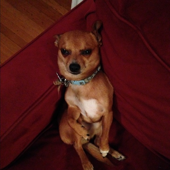 Profile Picture of Gabriela Bernier (@justta143) on Poshmark