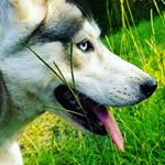 Profile Picture of Jonny_Grigg_Likes_Cake (@jonny.grigg06) on Instagram