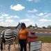 Profile Picture of Rose Engelbrecht (@rose.engelbrecht.777) on Facebook