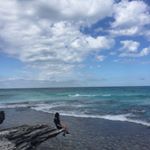 Profile Picture of Lingling Guo (@_lnglng_) on Instagram