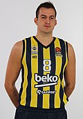 Profile Picture of Nemanja Bjelicaon Wikipedia