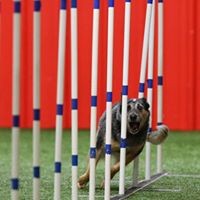 Profile Picture of Lisa Marr (@lisa-marr-5) on Quora