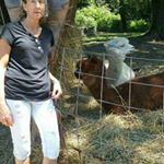 Profile Picture of Nancy Rittenhouse (@rittenhousenancy) on Instagram