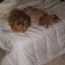 Profile Picture of Marc Corinne (@MarcCorinne2) on Twitter