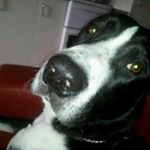 Profile Picture of Kenneth Gould (@gould_kenneth) on Instagram