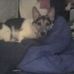 Profile Picture of Buddy Parsons (@Buddy-Parsons) on Facebook