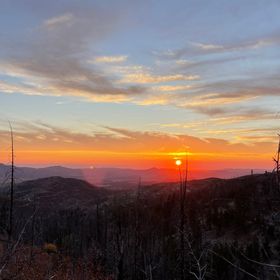 Profile Picture of sophie (@langdon1019) on Pinterest