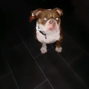 Profile Picture of Orlando Schrott. (@orlandoschrott.nock) on Tiktok
