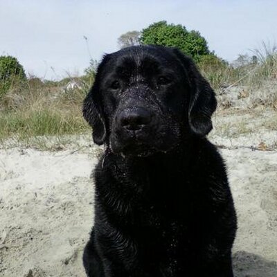 Profile Picture of Matt Fedor (@MaFedor13) on Twitter