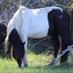 Profile Picture of Shannon Rutledge (@shannon.whitley.524) on Facebook