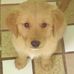 Profile Picture of Adam Coon (@adam.coon.14) on Facebook