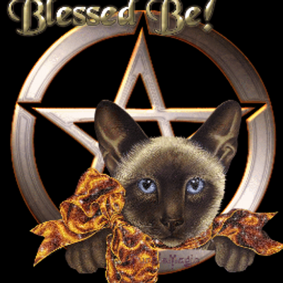 Profile Picture of Rebecca Kay Whitlock (@WhitlockRebecca) on Twitter