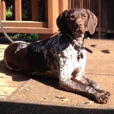 Profile Picture of Catherine Cowan (@bigbird_me) on Twitter