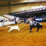 Profile Picture of Kelli Bradley (@kellbell345) on Instagram