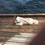 Profile Picture of Kevin Horner (@kevingr68123) on Instagram