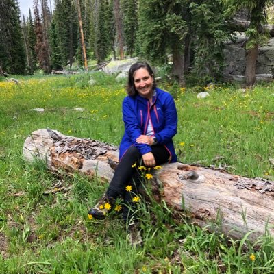 Profile Picture of Dawn Kallio (@KallioDawn) on Twitter