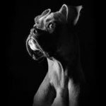 Profile Picture of Michael Cholewin (@pharma7gmailcom) on Instagram