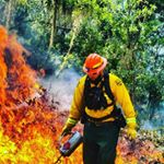 Profile Picture of Jason Hooker (@damnhooker) on Instagram