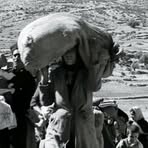 Profile Picture of Martin Janis (@Martin-Janis) on Facebook