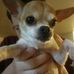 Profile Picture of Benjamin Easterling (@benjamin.easterling.31) on Facebook
