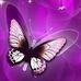 Profile Picture of Vikki Heath (@vikki.heath.14) on Facebook