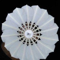 Profile Picture of Sauda Haffejee (@sauda-haffejee) on Quora