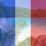 Profile Picture of Jean Calabrese (@calabresejean) on Instagram