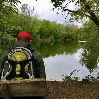 Profile Picture of Daniel (@danhahn_) on Instagram