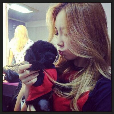 Profile Picture of คิม แทยอน (@KimTaeyeon_Bott) on Twitter