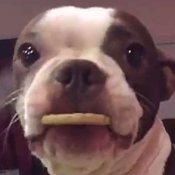 Profile Picture of Cindy Paez (@cyp78) on Poshmark