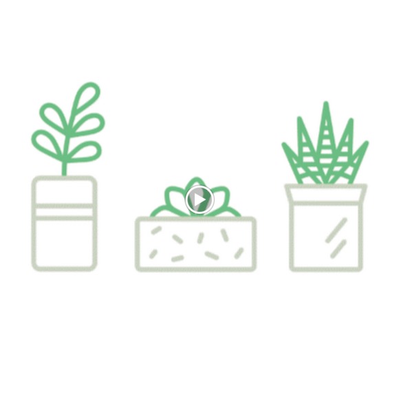 Profile Picture of Madelyn Allen (@buckeyelyn) on Poshmark