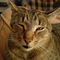 Profile Picture of Robert Clavette (@robert.clavette.50) on Facebook