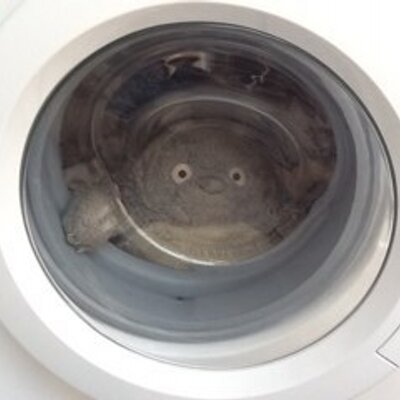 Profile Picture of Steve Needham (@steve_needham27) on Twitter