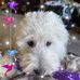 Profile Picture of Renee Stavropoulos (@renee.stavropoulos) on Facebook