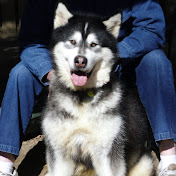 Profile Picture of S Huston (@shuston2053) on Youtube