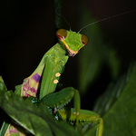 Profile Picture of AFI 11 (@AFI 11) on Flickr