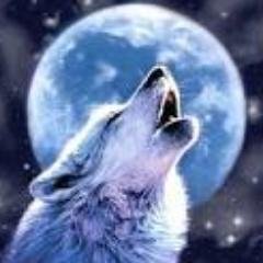 Profile Picture of Julia McCormick (@wolfgirlfight1) on Twitter