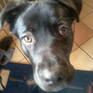 Profile Picture of Andrea Rehfeldt (@andrea.rehfeldt) on Facebook